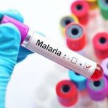 داروهای ضد مالاریا در مبارزه با بیماری ریوی موثرند