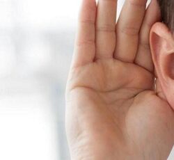 کشف ژن حیاتی در احیای شنوایی