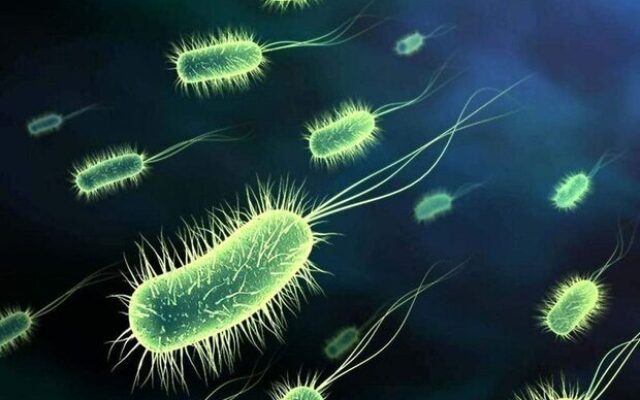 شناسایی ۴ مورد مشکوک به وبا در این شهر ایران