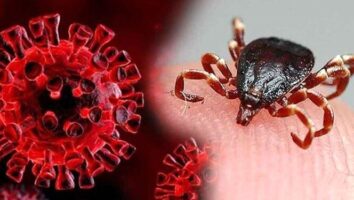 وبا، کرونا و تب کریمه کنگو در کشور رو به افزایش است