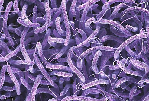 شناسایی 63 مورد ابتلا به وبا از ابتدای امسال
