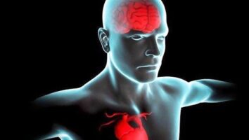 ناهنجاری دهلیز فوقانی قلب خطر زوال عقل را افزایش می دهد