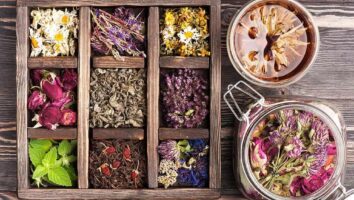 بهترین دمنوش های گیاهی برای کاهش تب