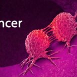 کشف روش درمانی جدید برای بیماری سرطان