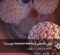 زگیل تناسلی یا Genital Warts چیست؟ علائم و درمان در تهران