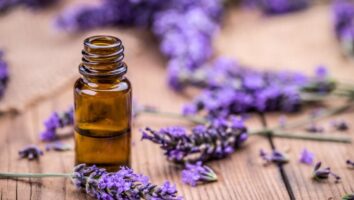 گیاهی که ناجی بیماران دیابتی است