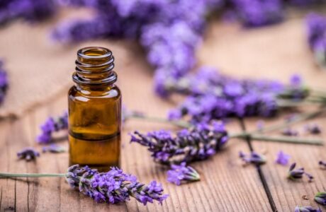 گیاهی که ناجی بیماران دیابتی است