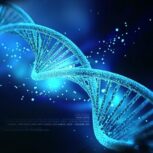 شناسایی ۱۰ هزار گونه ژنتیکی مرتبط با قد