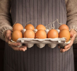 آنچه باید از نحوه مصرف تخم مرغ بدانیم