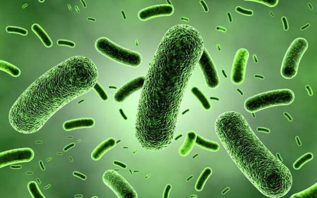 عفونت‌های باکتریایی، دومین عامل مرگ‌ومیر در جهان