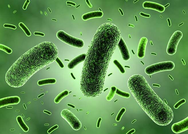 عفونت‌های باکتریایی، دومین عامل مرگ‌ومیر در جهان