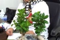 دکتر الهام معتمدی