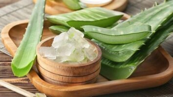 این گیاه چربی‌ها را مثل کوره آب می کند