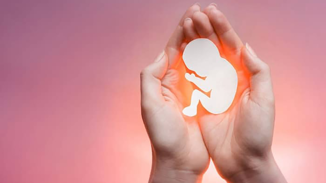 تدوین لایحه‌ای جهت "ساماندهی اهدای جنین"