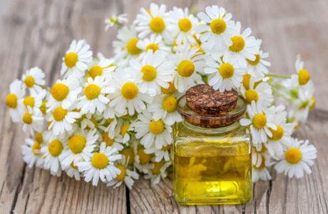 روغن های ضروری برای سلامت مو