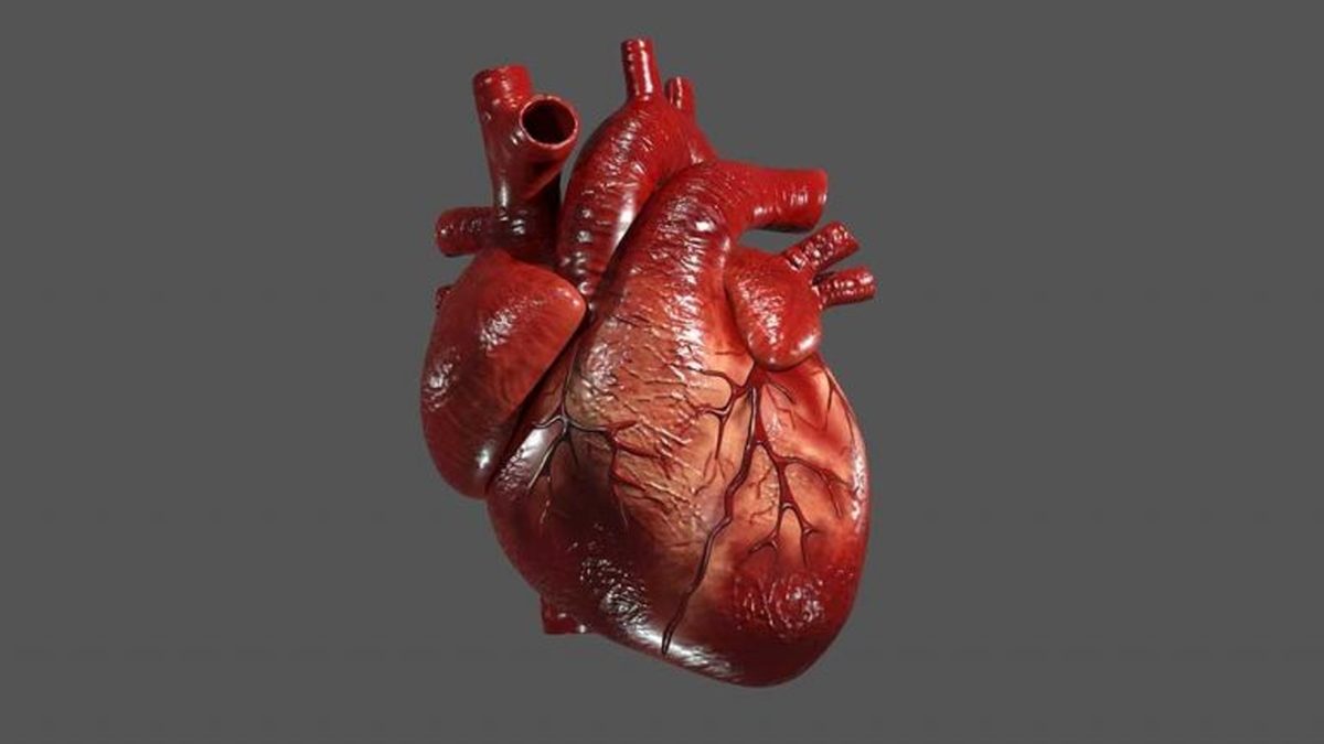 علت بروز نارسایی مزمن قلبی چیست؟