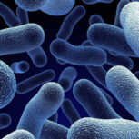علل بروز مقاومت میکروبی را بشناسید