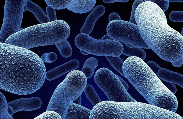 علل بروز مقاومت میکروبی را بشناسید