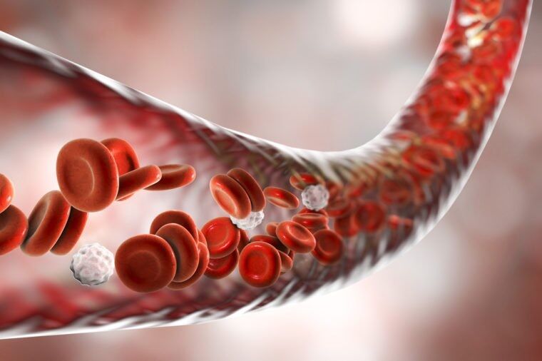 عوامل اصلی ایجاد کم خونی در بدن چیست؟
